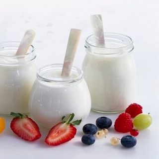 Sữa Chua Nếp Cẩm - Sữa Chua Nha Đam - Sữa Chua Trái Cây... Giá Sỉ - Giá Buôn -Giá Gốc