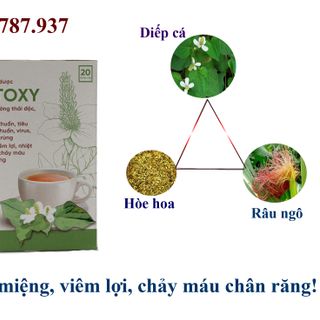 Trà diếp cá thải độc DETOXY- đặc trị nhiệt miệng, viêm lợi, chảy máu chân răng, đau nhức răng giá sỉ