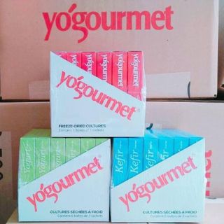 Men sữa chua Yogourmet