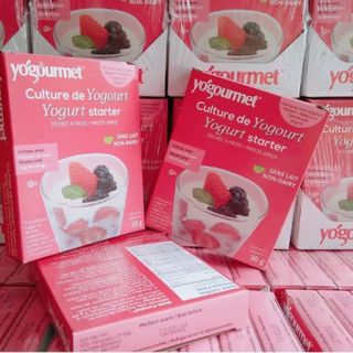 Men sữa chua Yogourmet