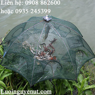 Lồng bát quái bắt cá Nguyễn Út