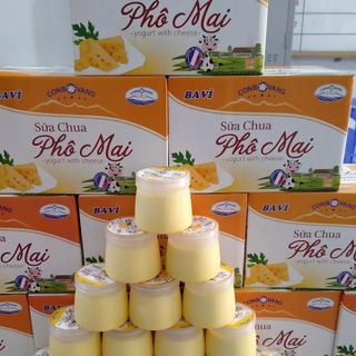Sữa Chua Đặc sản ba Vì