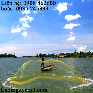 Chuyên Kinh Doanh Chài Lưới Cá Nguyễn Út giá sỉ