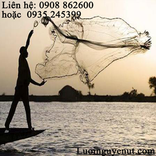 Chuyên Kinh Doanh Chài Lưới Cá Nguyễn Út