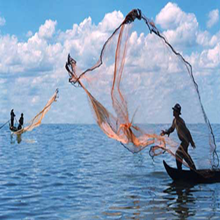 Chuyên Kinh Doanh Chài Lưới Cá Nguyễn Út