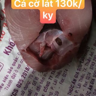 Cá mực các loại