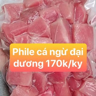 Cá mực tươi sống