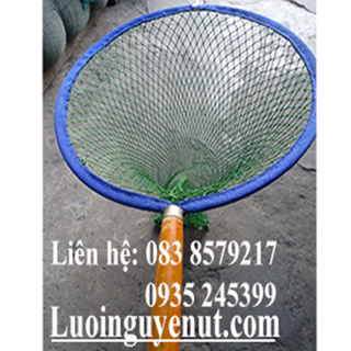 Vợt Vớt Cá Nguyễn Út