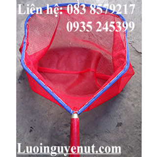 Vợt Vớt Cá Nguyễn Út