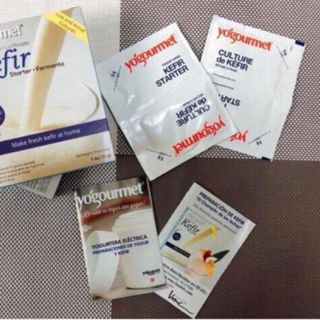 Men sữa chua Yogourmet