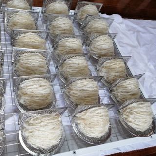 Yến sợi tinh chế