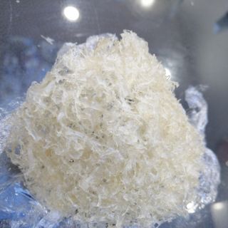 Yến sợi rối