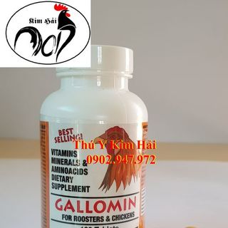 GALOMIN-LỌ 100 VIÊN-INTERPHARMA