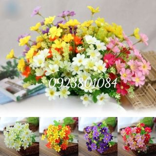 Hoa Giả-Hoa Cánh Bướm 25-30 Bông Trên Cành