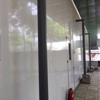 Sỉ đông trùng hạ thảo tươi