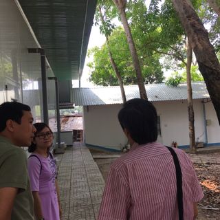 Sỉ đông trùng hạ thảo tươi