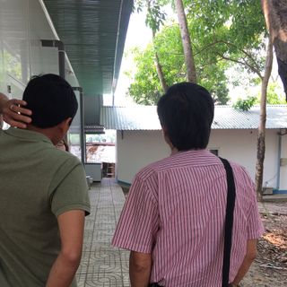 Sỉ đông trùng hạ thảo tươi