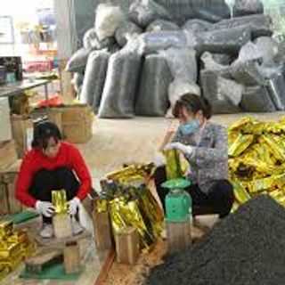 chè tân cương thái nguyên