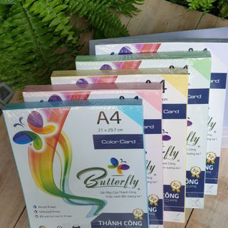 Bìa Thái Color card (21x29.7cm)