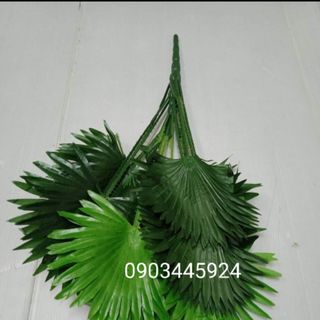 Cây Cọ Trang Trí cao 50cm- Cây Giả