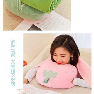 Bộ CHĂN GỐI văn phòng hình thú, trái cây 3in1