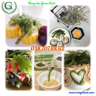 Rong nho biển Green Food