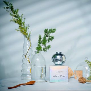 KEM FACE LƯỜI QUEENIE SKIN DÒNG CAO CẤP LUXURY 15g