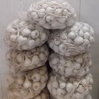 CAM KẾT - TỎI LÝ SƠN CHÍNH GỐC QUÃNG NGÃI - 1KG (ẢNH CHỤP)