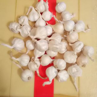 CAM KẾT - TỎI LÝ SƠN CHÍNH GỐC QUÃNG NGÃI - 1KG (ẢNH CHỤP)