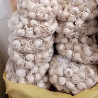 CAM KẾT - TỎI LÝ SƠN CHÍNH GỐC QUÃNG NGÃI - 1KG (ẢNH CHỤP)