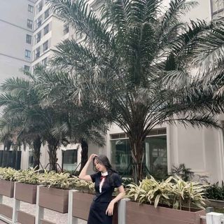 Váy xanh than cổ tròn