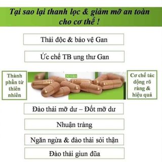 THANH LỌC - THẢI MỠ NỘI TẠNG CƠ THỂ