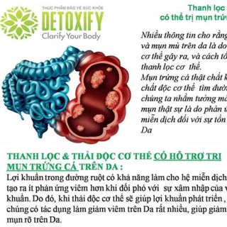 THANH LỌC - THẢI MỠ NỘI TẠNG CƠ THỂ