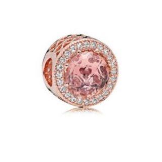 Charm Clip Rg091