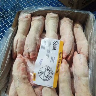 Dựng heo trước Mỹ