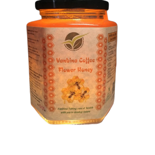 mật ong hoa cafe VANBINA 500ml