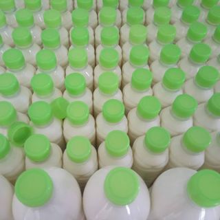 SỮA BÒ TƯƠI NGUYÊN CHẤT 100%
