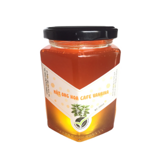 mật ong hoa cafe VANBINA 280ml