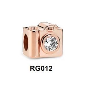 Charm Clip RG012