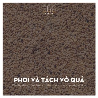 CÀ PHÊ 566 | Cà phê rang-xay-phối trộn có Moka (Gói 500g)