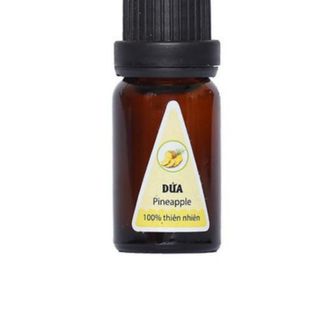 Miễn phí ship - Tinh dầu dứa lọ 10ml xông thơm phòng