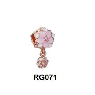 Charm Clip RG071