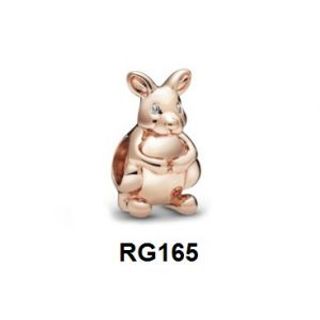 Charm Clip RG165