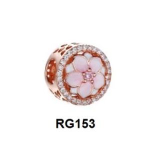 Charm Clip RG153