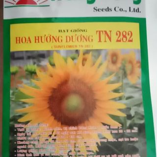 Hạt giống hoa hướng dương Trang Nông giá sỉ