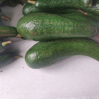 Bơ 034 -Bảo Lộc: 2-3 trái/ Kg