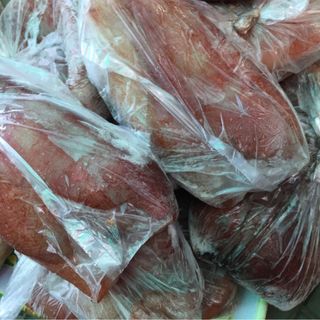 Mực lá đại dương