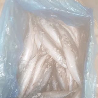 SAPA NHẬT SIZE 100/200 - CHUYÊN CUNG CẤP SỈ TOÀN QUỐC.