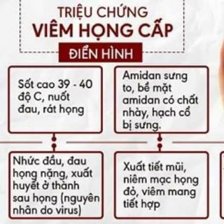 Thuốc viêm họng giá sỉ