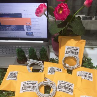 Cáp ip xuất nhật 2m xịn sò